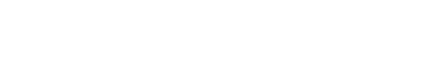 StoreAddons Logo